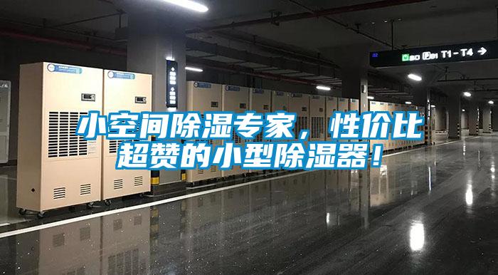 小空间除湿专家，性价比超赞的小型除湿器！