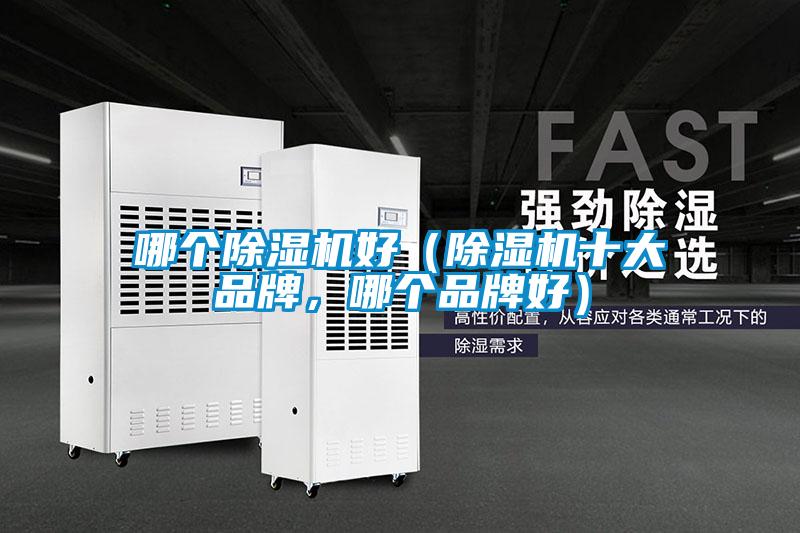 哪个好色先生污污版好（好色先生污污版十大品牌，哪个品牌好）