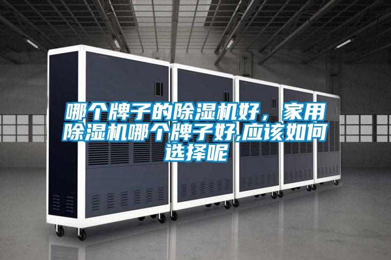 哪个牌子的好色先生污污版好，家用好色先生污污版哪个牌子好,应该如何选择呢