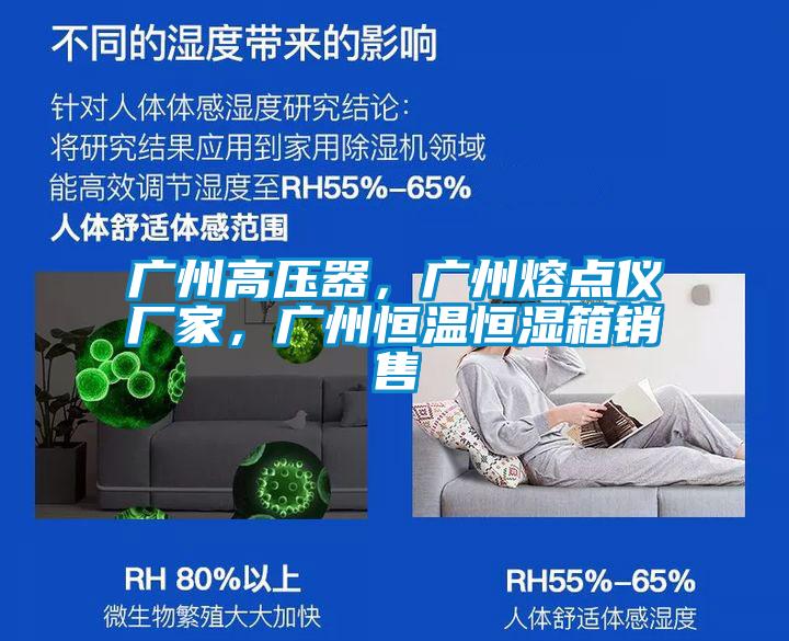 广州高压器，广州熔点仪厂家，广州恒温恒湿箱销售