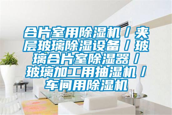 合片室用好色先生污污版／夹层玻璃除湿设备／玻璃合片室除湿器／玻璃加工用抽湿机／车间用好色先生污污版