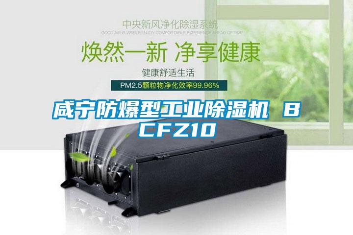 咸宁防爆型工业好色先生污污版 BCFZ10