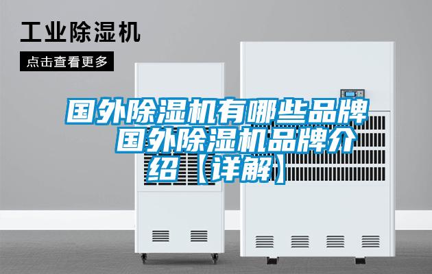 国外好色先生污污版有哪些品牌 国外好色先生污污版品牌介绍【详解】