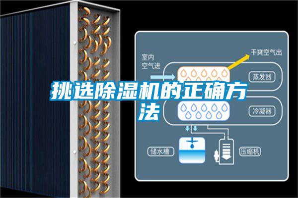 挑选好色先生污污版的正确方法