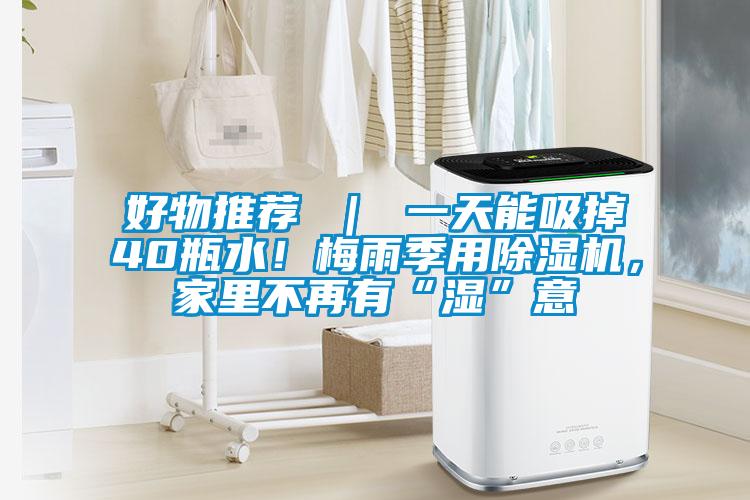 好物推荐 ｜ 一天能吸掉40瓶水！梅雨季用好色先生污污版，家里不再有“湿”意