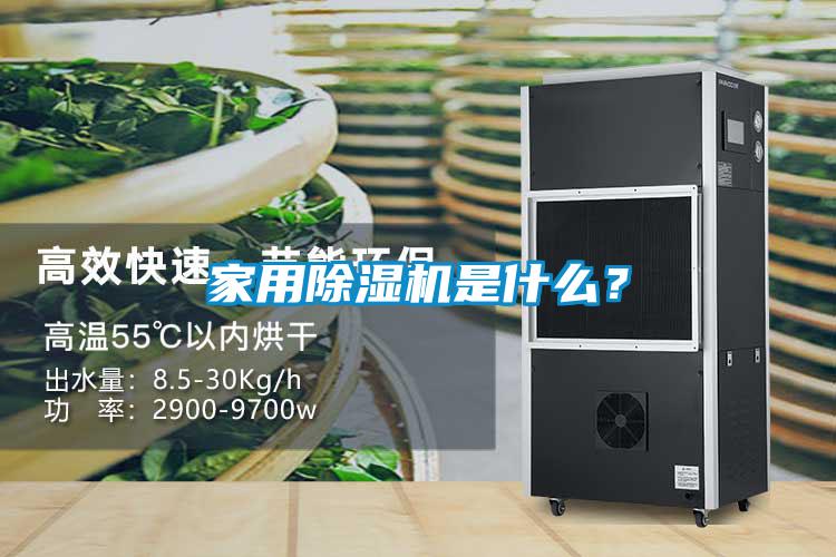 家用好色先生污污版是什么？