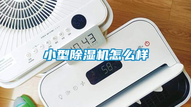 小型好色先生污污版怎么样