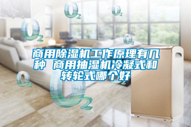 商用好色先生污污版工作原理有几种 商用抽湿机冷凝式和转轮式哪个好