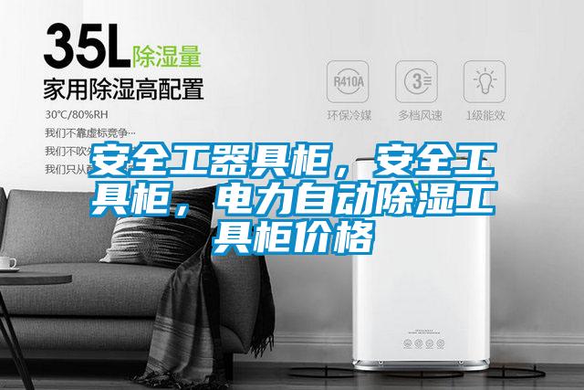 安全工器具柜，安全工具柜，电力自动除湿工具柜价格