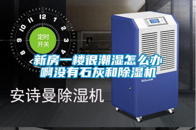 新房一楼很潮湿怎么办啊没有石灰和好色先生污污版