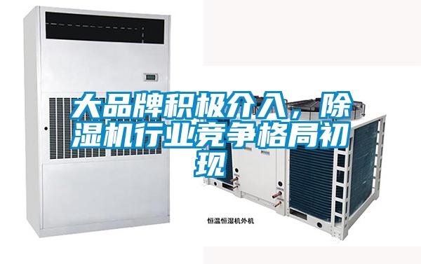 大品牌积极介入，好色先生污污版行业竞争格局初现