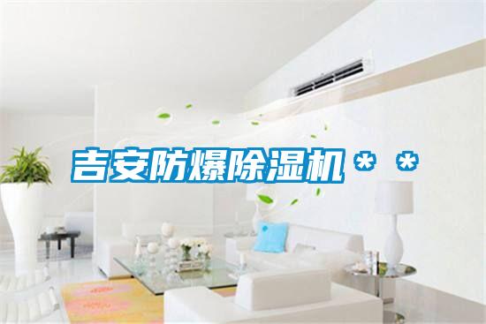 吉安防爆好色先生污污版＊＊