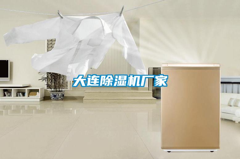 大连好色先生污污版厂家