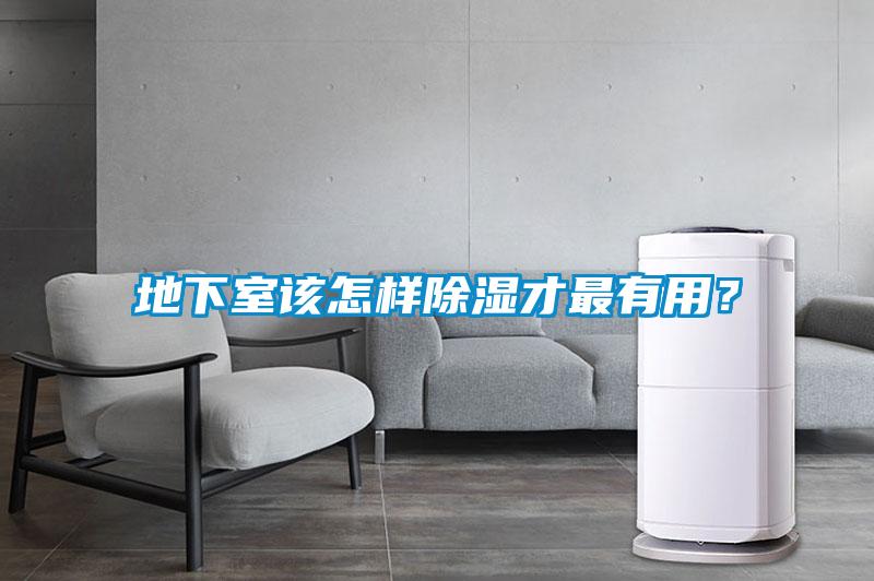 地下室该怎样除湿才最有用？