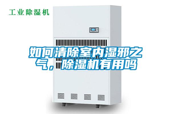 如何清除室内湿邪之气，好色先生污污版有用吗