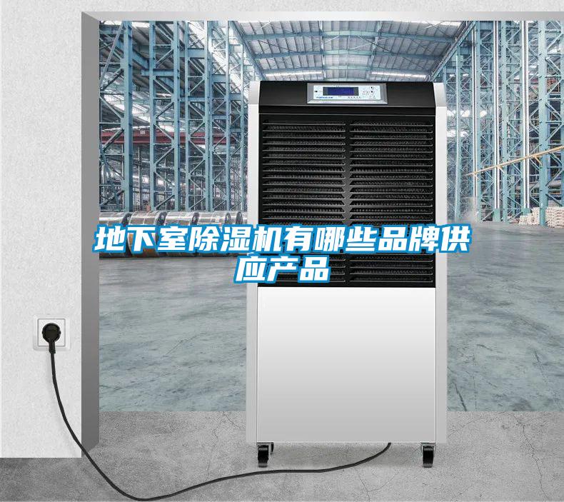 地下室好色先生污污版有哪些品牌供应产品