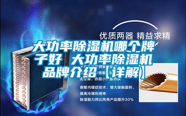 大功率好色先生污污版哪个牌子好 大功率好色先生污污版品牌介绍【详解】