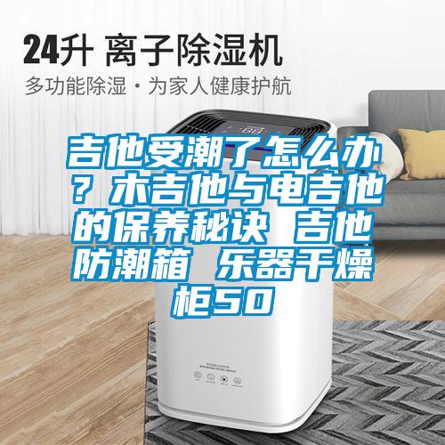 吉他受潮了怎么办？木吉他与电吉他的保养秘诀 吉他防潮箱 乐器干燥柜50