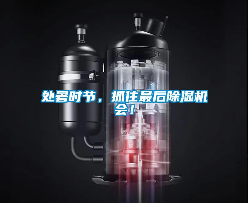 处暑时节，抓住最后好色先生污污版会！