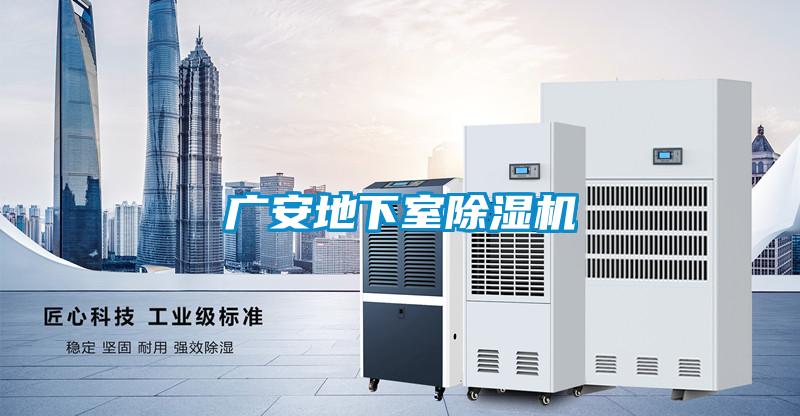 广安地下室好色先生污污版