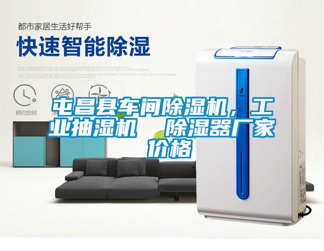 屯昌县车间好色先生污污版，工业抽湿机  除湿器厂家 价格