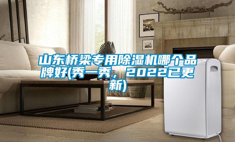 山东桥梁专用好色先生污污版哪个品牌好(秀一秀，2022已更新)