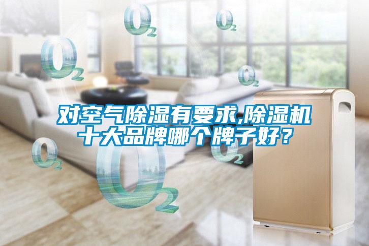 对空气除湿有要求,好色先生污污版十大品牌哪个牌子好？