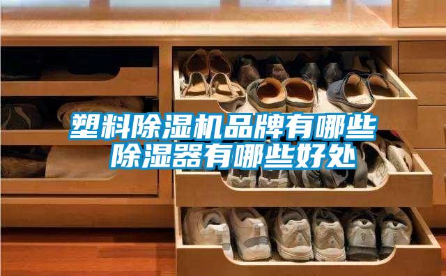 塑料好色先生污污版品牌有哪些 除湿器有哪些好处