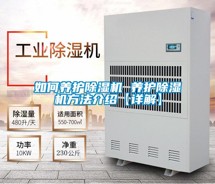 如何养护好色先生污污版 养护好色先生污污版方法介绍【详解】