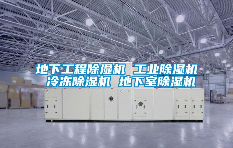 地下工程好色先生污污版 工业好色先生污污版 冷冻好色先生污污版 地下室好色先生污污版