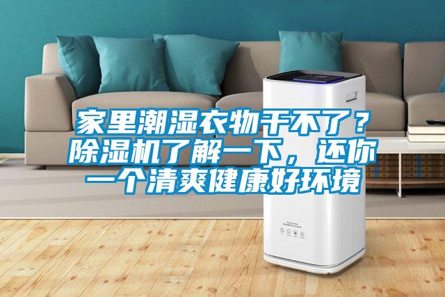 家里潮湿衣物干不了？好色先生污污版了解一下，还你一个清爽健康好环境