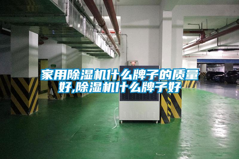 家用好色先生污污版什么牌子的质量好,好色先生污污版什么牌子好