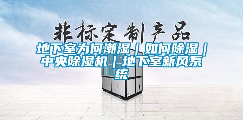 地下室为何潮湿｜如何除湿｜中央好色先生污污版｜地下室新风系统