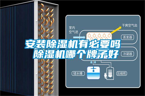 安装好色先生污污版有必要吗 好色先生污污版哪个牌子好