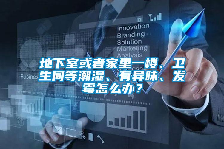 地下室或者家里一楼、卫生间等潮湿、有异味、发霉怎么办？