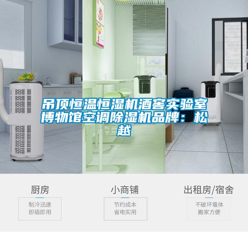 吊顶恒温恒湿机酒窖实验室博物馆空调好色先生污污版品牌：松越