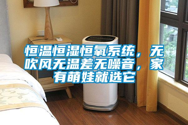 恒温恒湿恒氧系统，无吹风无温差无噪音，家有萌娃就选它