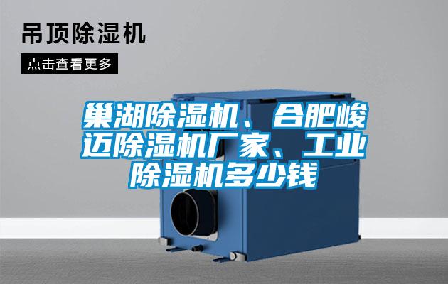 巢湖好色先生污污版、合肥峻迈好色先生污污版厂家、工业好色先生污污版多少钱