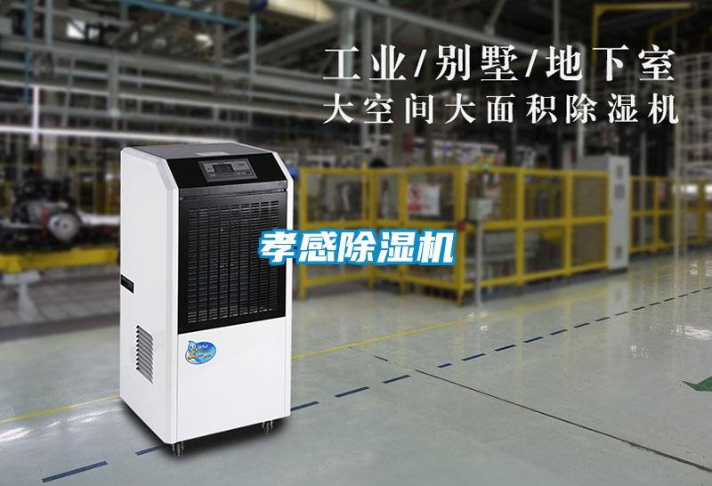 孝感好色先生污污版