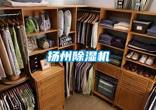 扬州好色先生污污版