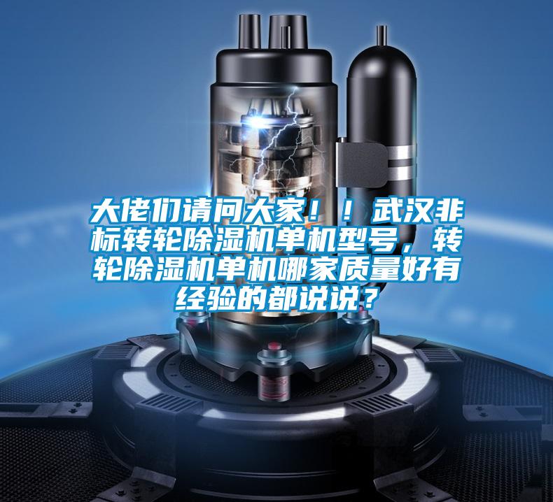 大佬们请问大家！！武汉非标转轮好色先生污污版单机型号，转轮好色先生污污版单机哪家质量好有经验的都说说？