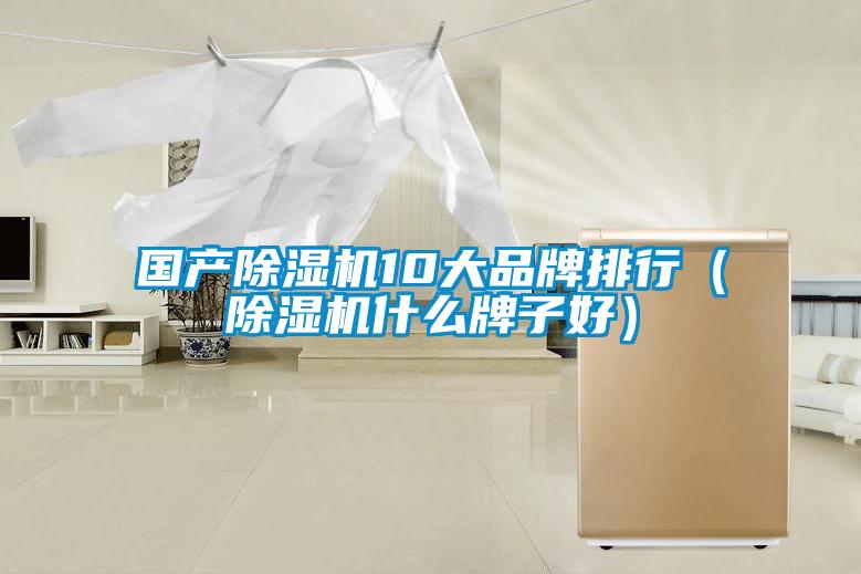 国产好色先生污污版10大品牌排行（好色先生污污版什么牌子好）