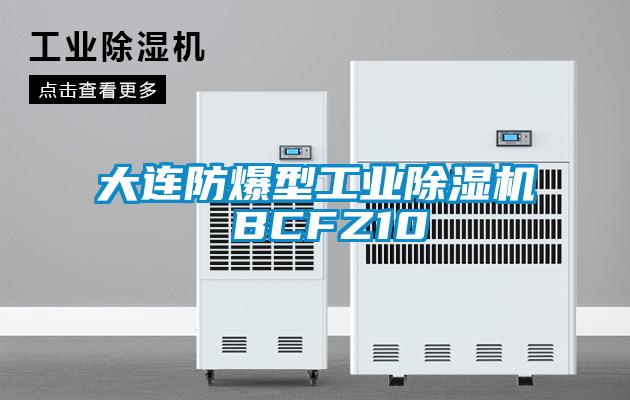 大连防爆型工业好色先生污污版 BCFZ10