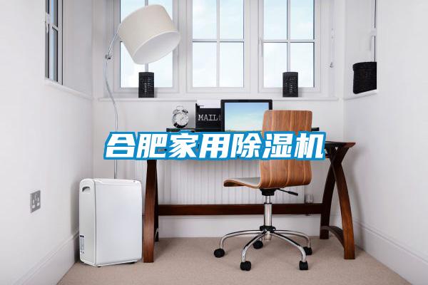 合肥家用好色先生污污版