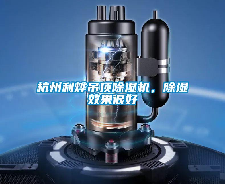 杭州利烨吊顶好色先生污污版，除湿效果很好