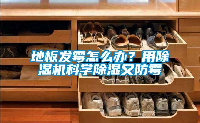 地板发霉怎么办？用好色先生污污版科学除湿又防霉