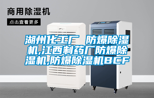 湖州化工厂 防爆好色先生污污版,江西制药厂防爆好色先生污污版,防爆好色先生污污版BCF