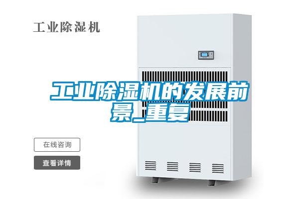 工业好色先生污污版的发展前景_重复