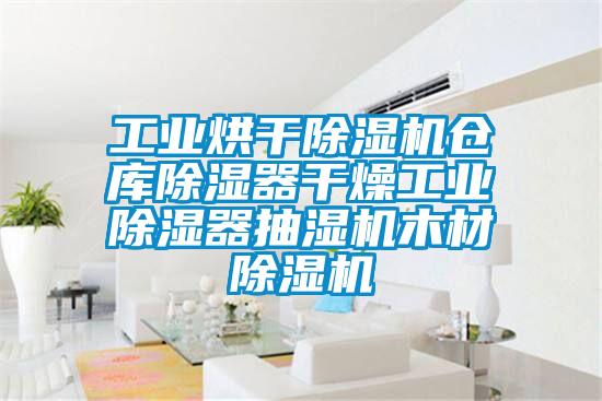 工业烘干好色先生污污版仓库除湿器干燥工业除湿器抽湿机木材好色先生污污版