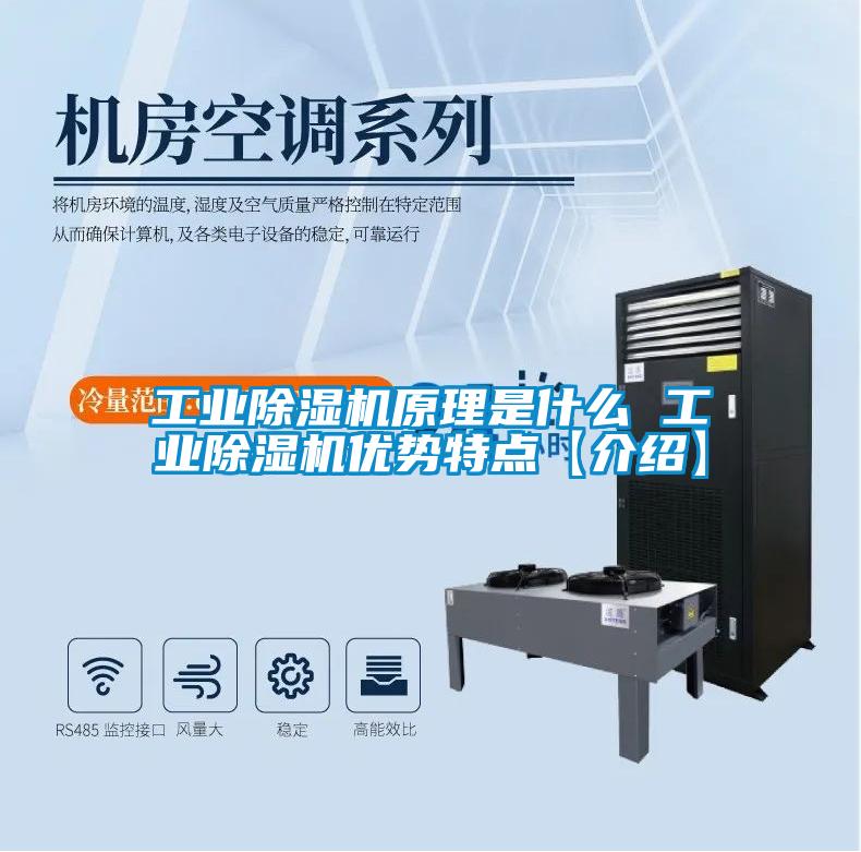 工业好色先生污污版原理是什么 工业好色先生污污版优势特点【介绍】